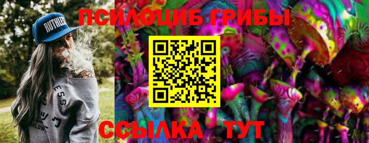 Галлюциногенные грибы Psilocybine cubensis Амурск