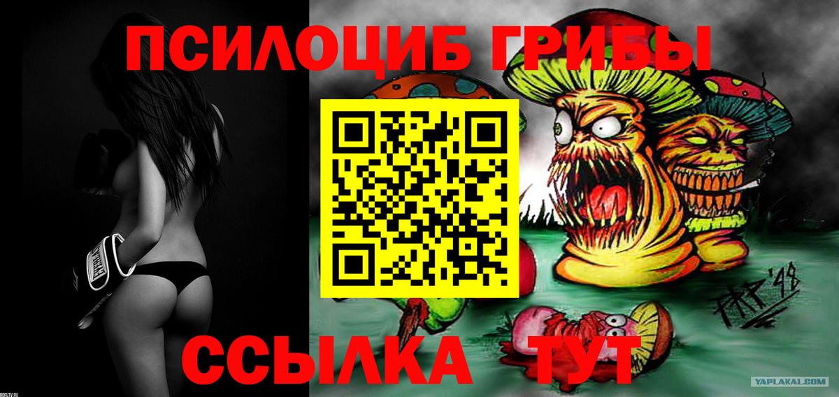 Псилоцибиновые грибы мицелий  Вход с VPN  Амурск 